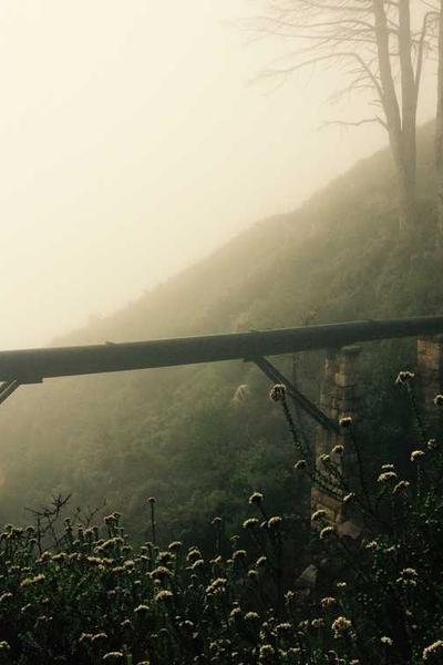 Сертификат повышения квалификации