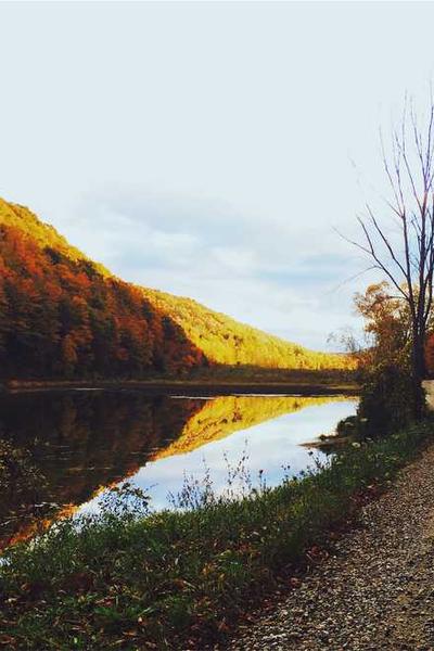 Сертификат успешного завершения курса