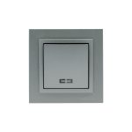 1-gang illuminated switch, 10AX, 250V