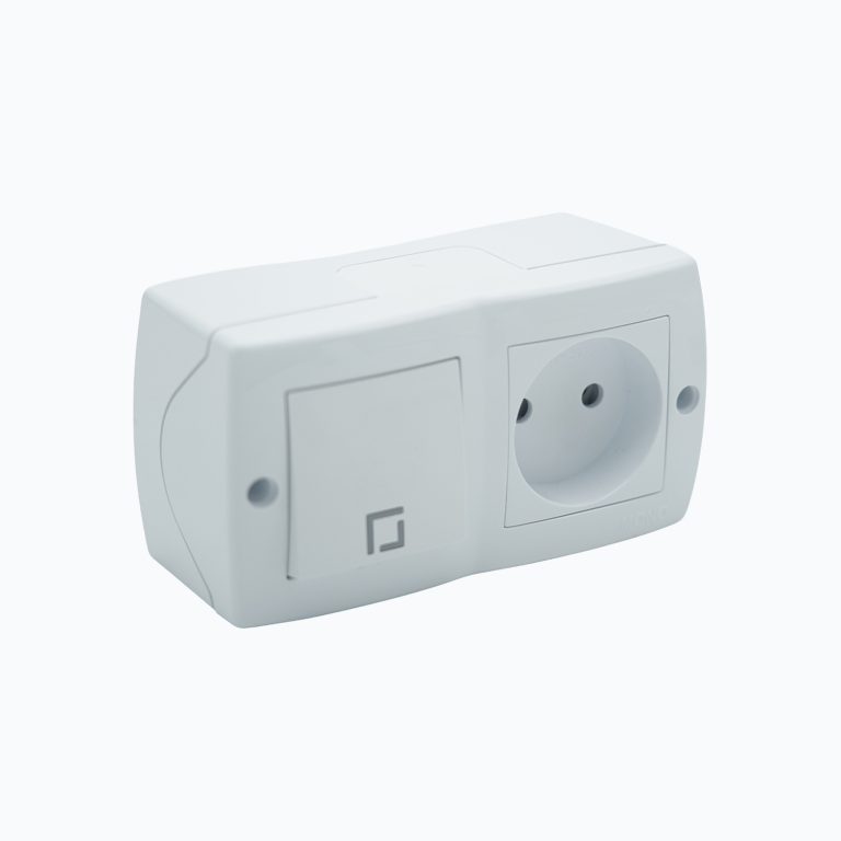 1-gang switch + ungrounded socket outlet