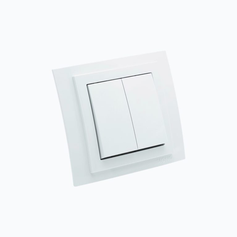 Two-gang switch 10AX, 250 V