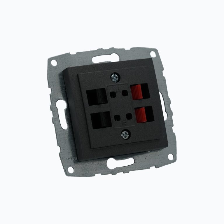 Hi-Fi rozetkasi – 2 ta kirish port