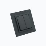Two-gang switch 10AX, 250 V