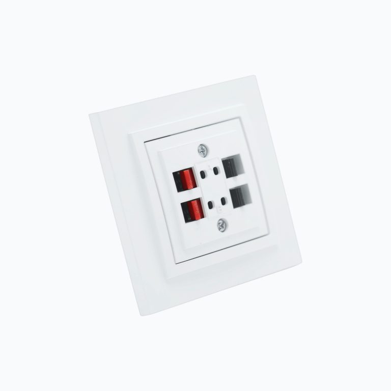 Hi-Fi rozetkasi – 2 ta kirish port