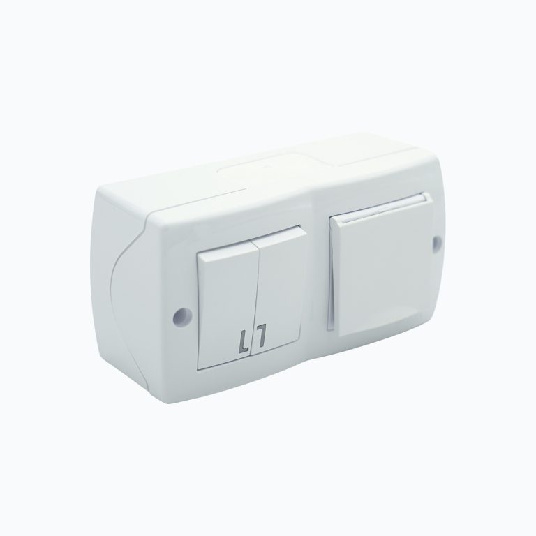 2-gang switch + grounded socket outlet with cover