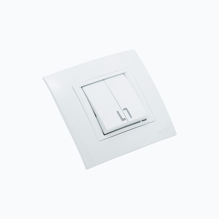 Two-gang switch 10AX, 250 V