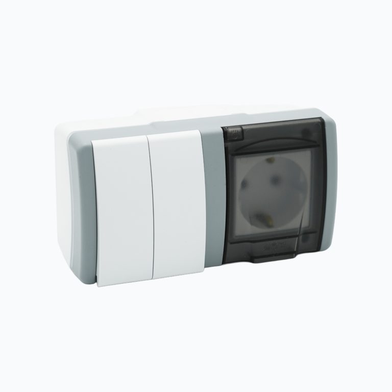 2-gang switch + socket outlet with earth contact