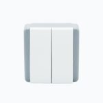 Two-gang switch 10AX, 250 V
