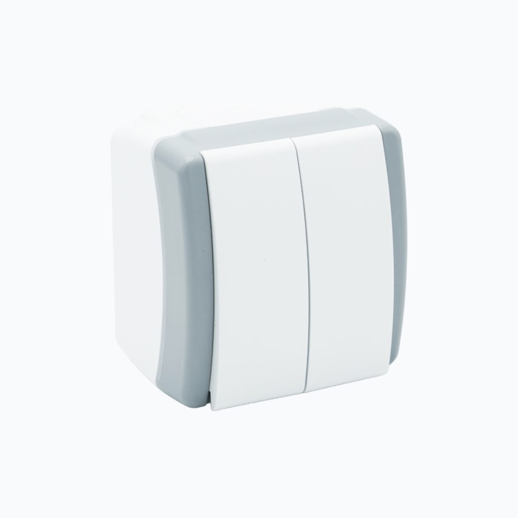 Two-gang switch 10AX, 250 V