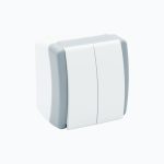 Two-gang switch 10AX, 250 V