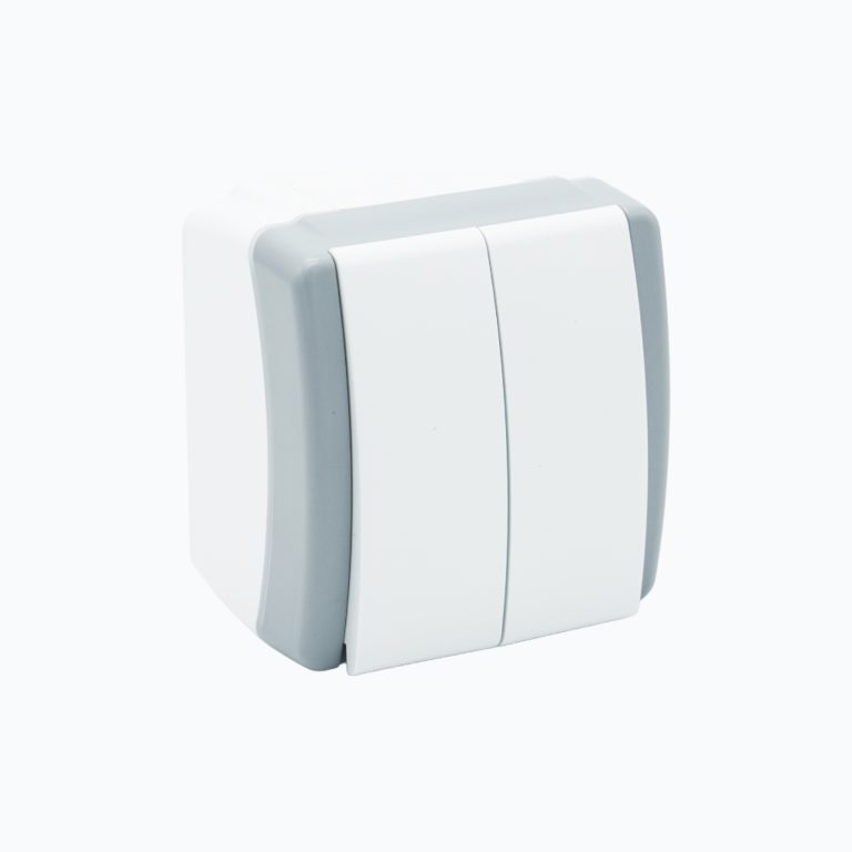 Two-gang switch 10AX, 250 V