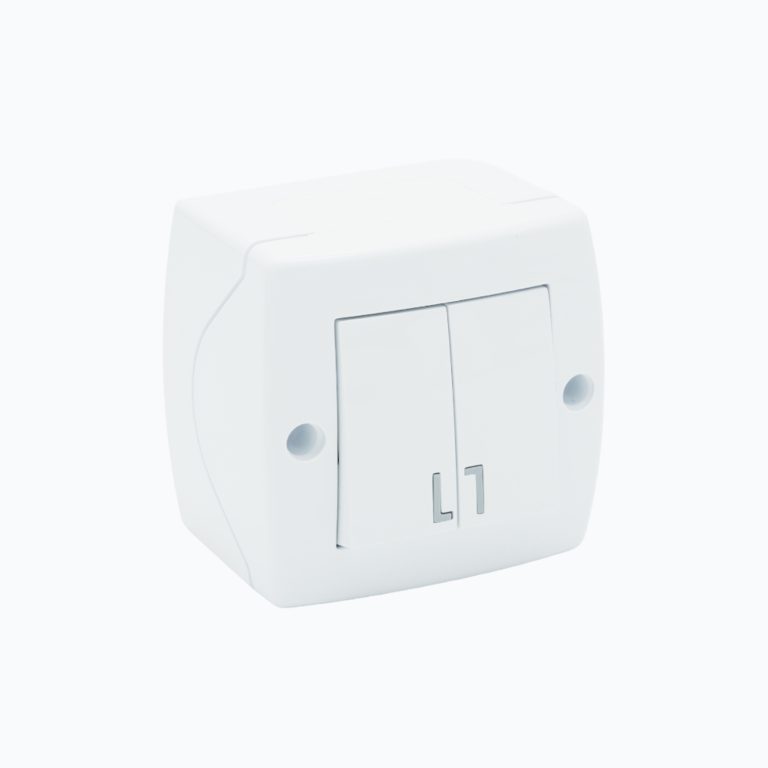 Two-gang switch 10AX, 250 V